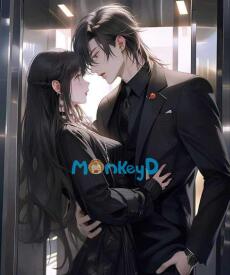 Ánh Trăng Vĩnh Viễn Không Rơi Xuống