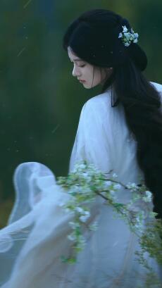 BÁN PHU QUÂN CẦU VINH