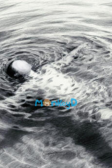 Búp Bê Cầu Nắng