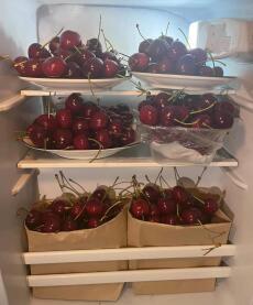 CẢ NHÀ CHỒNG ĐỀU MUỐN TÔI CHẾT!!!