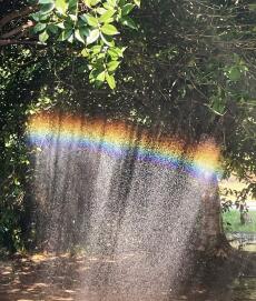 Cầu vồng sau mưa