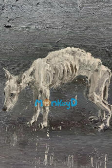 Chó Già Thành Tinh