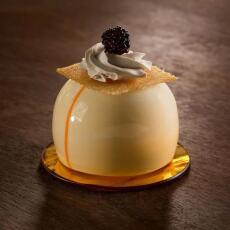 CHỒNG NGU HIẾU TRỌNG SINH