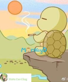 Con rùa nhỏ hôm nay cũng đang nỗ lực gây nghiệp