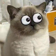 ĐỪNG LÊN TIẾNG! CÓ NGƯỜI VỪA VÀO KÝ TÚC XÁ