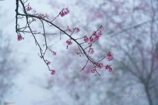 Gông xiềng của phụ nữ