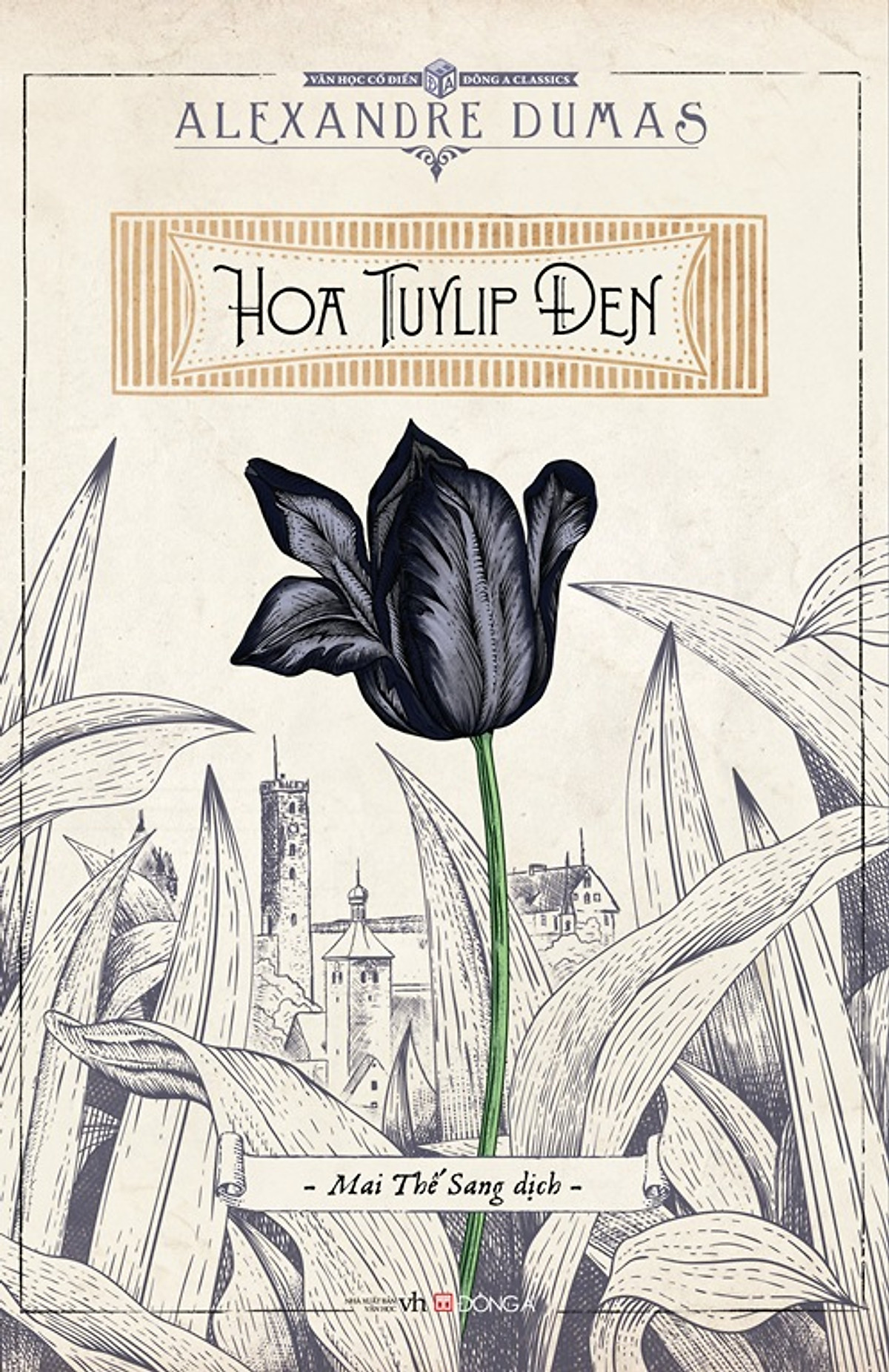Hoa Tulip Đen