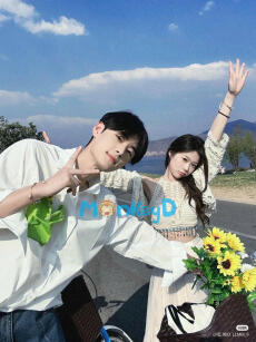 HƯỚNG DẪN SỬ DỤNG PHẢN DIỆN ĐÚNG CÁCH