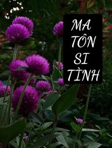 MA TÔN SI TÌNH