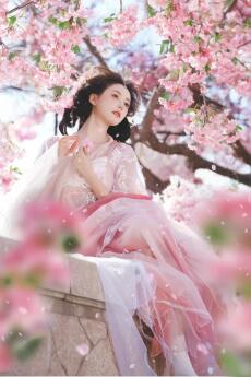 MUỘI MUỘI TA THANH ĐẠM NHƯ CÚC