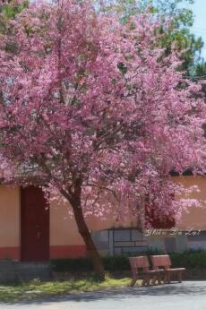 Mười năm xa cách