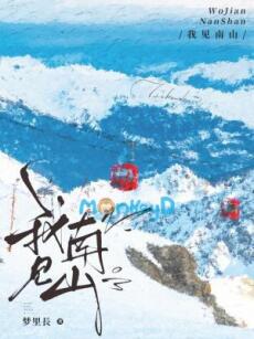 Ngã Kiến Nam Sơn