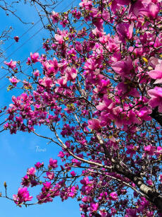 Người đàn ông ba phút