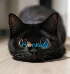 Nhật Ký Cải Tạo Nam Phụ Phản Diện