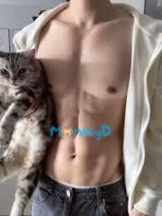 Sau khi biến thành mèo của nam thần