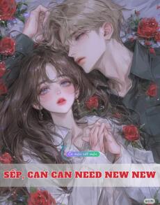 Sếp, Can Can Need New New