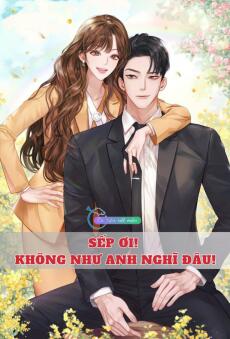 Sếp Ơi! Không Như Anh Nghĩ Đâu!