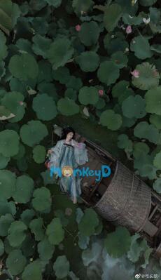 TA CẮM CHO HOÀNG ĐẾ MỘT ĐỐNG SỪNG