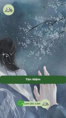 Tàn Niệm