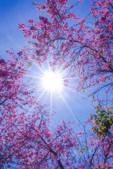 Thế giới đã quên tôi