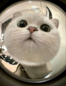 Thủ Lĩnh Đám Bắt Cóc Là Chồng Mới Của Tôi