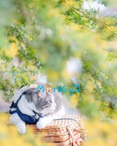 Tình Cờ Gặp Lại Đối Tượng Thầm Mến Thời Cấp Ba