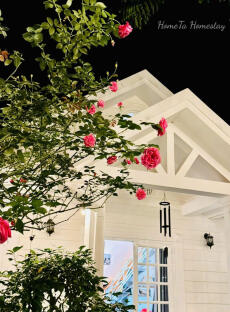 Tình yêu muộn màng