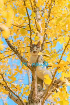 Xuyên Thành Nữ Phụ Đang Hạ Thuốc Nam Chính, Tôi Phải Làm Sao?