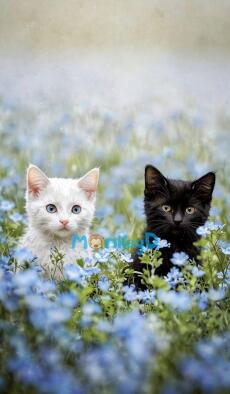 Xuyên Vào Tiểu Thuyết Đam Mỹ: Một Tuần Có 8 Ngày Ta Muốn Đình Công!