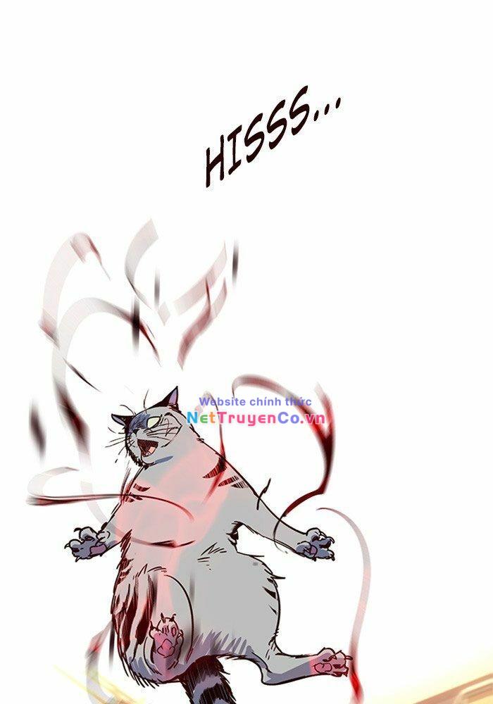 120