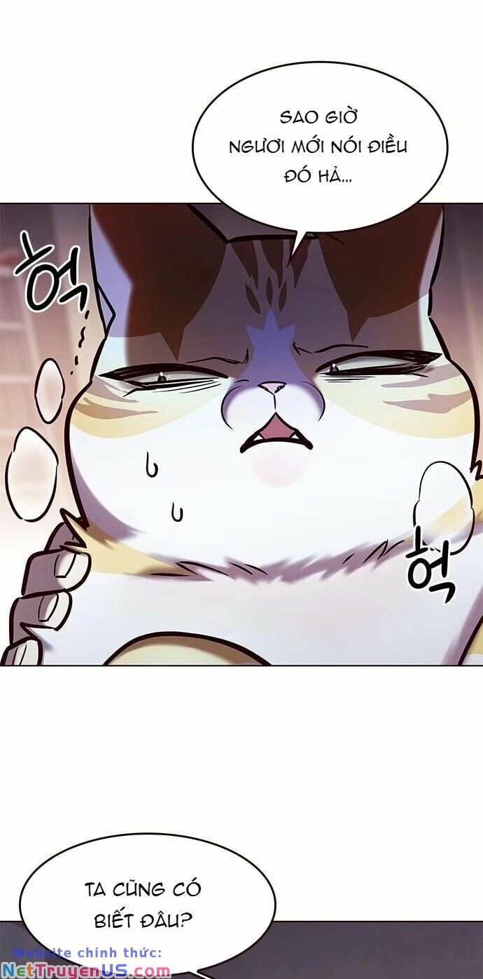 81