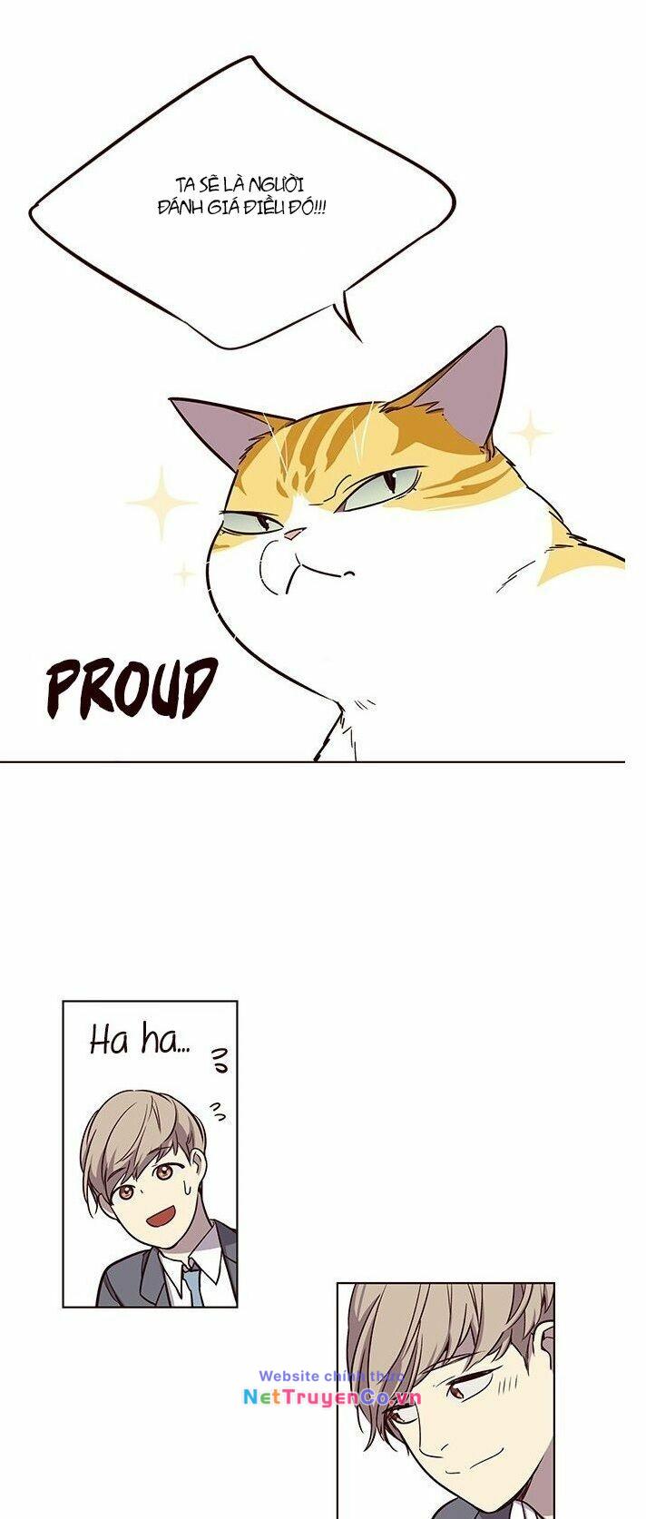 58