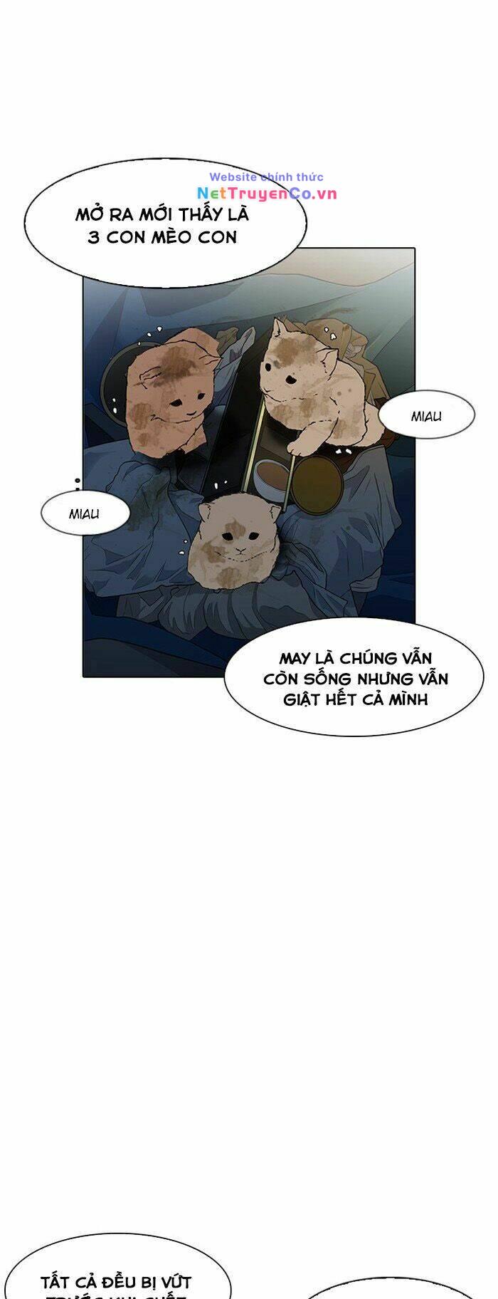 78