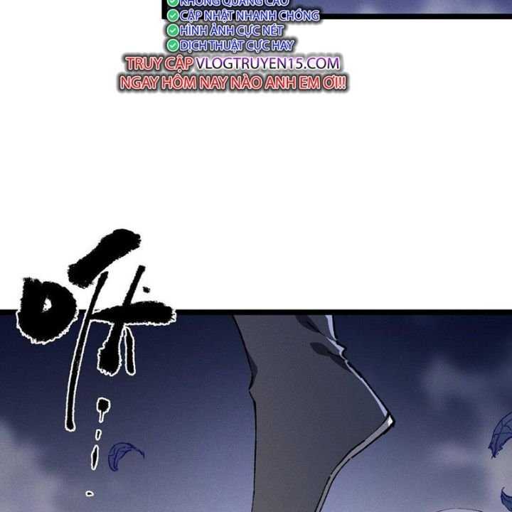 81