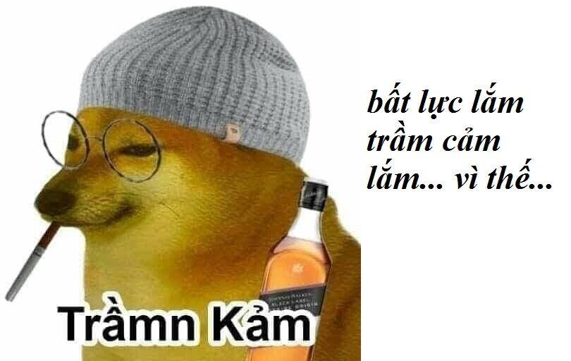 56