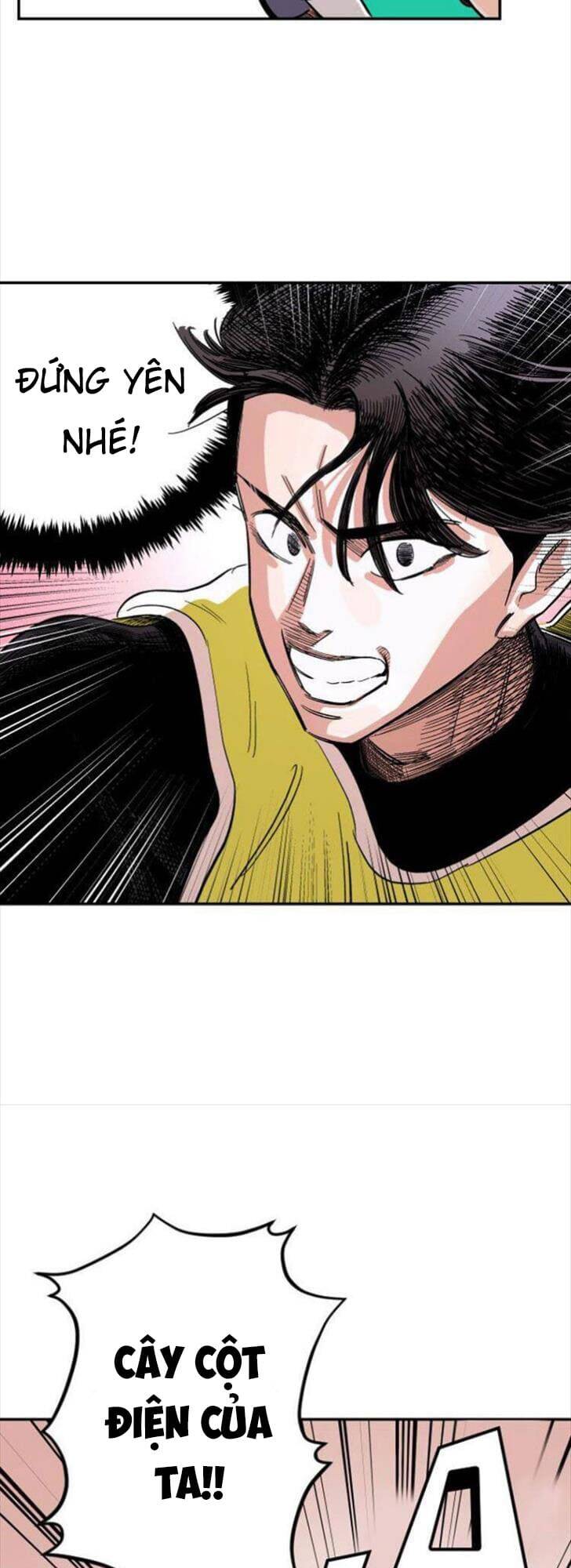 81