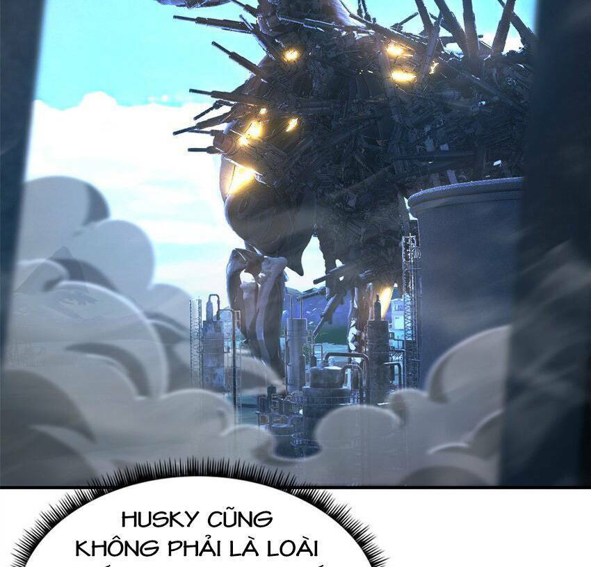 53