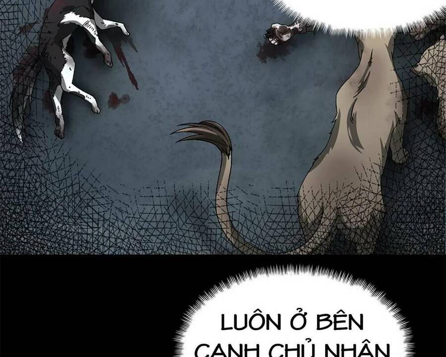 68