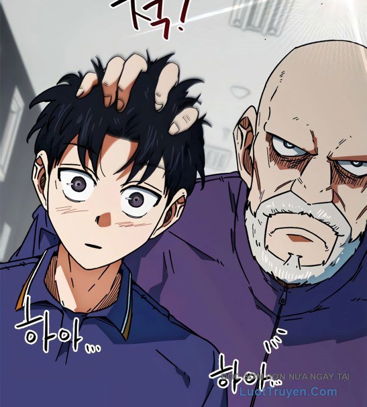 82