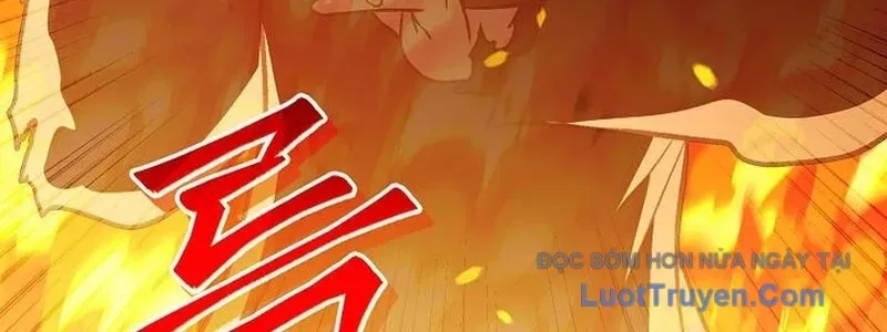 204