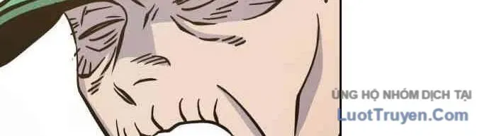 256