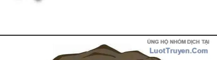 278