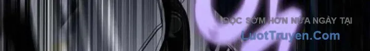 113