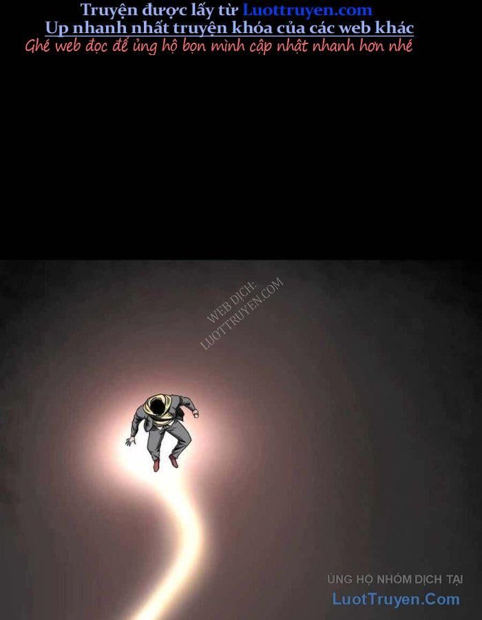 81