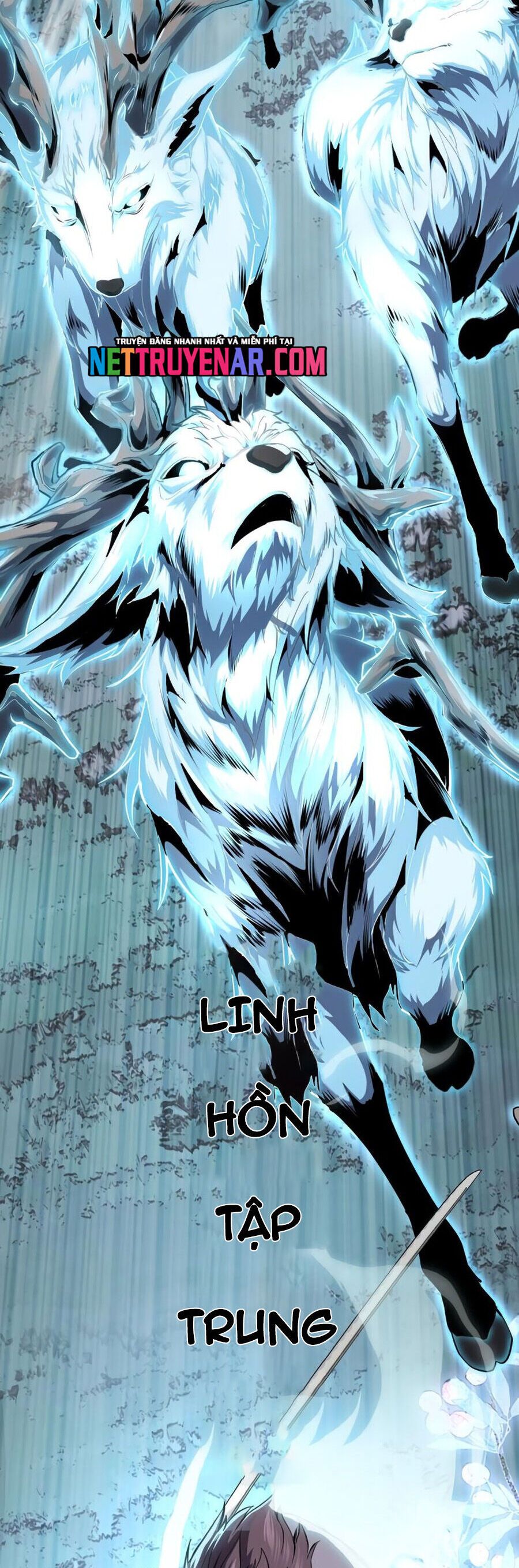 104